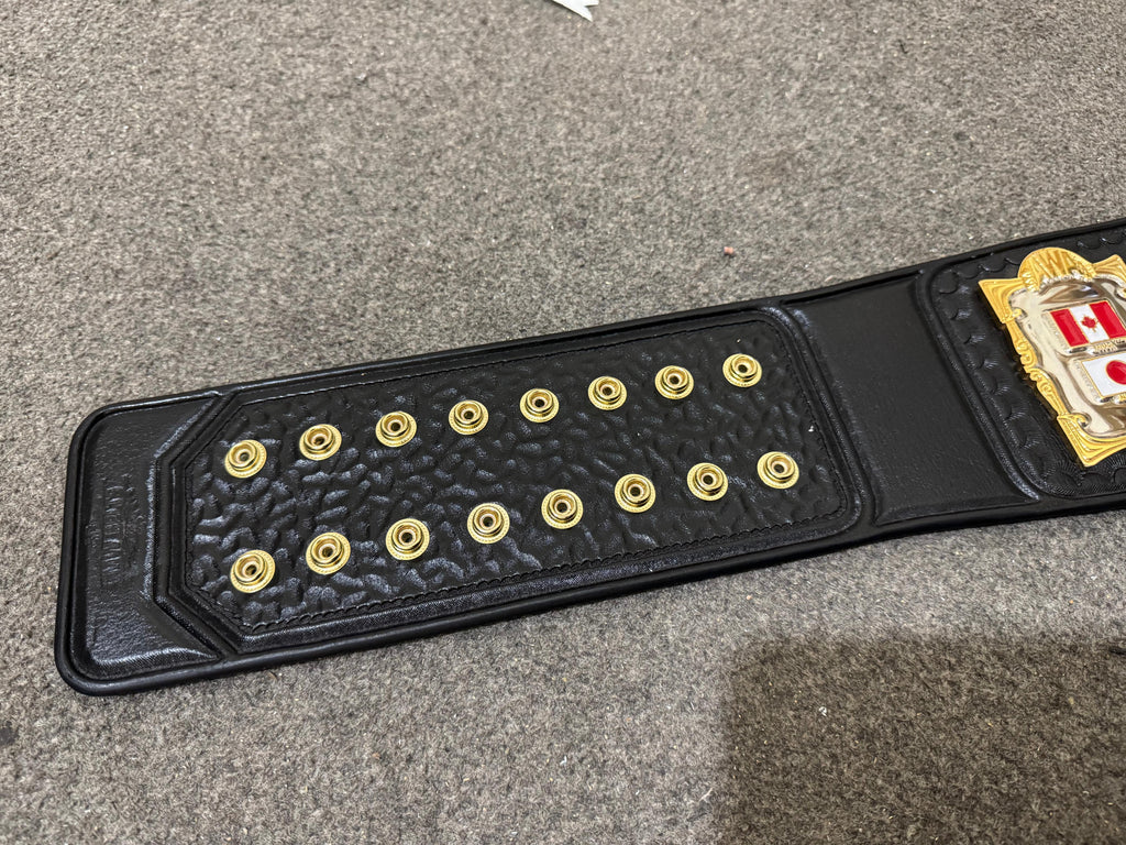 AWA TV Championship Belt HD