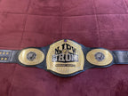 njpw strong open weight Championship belt